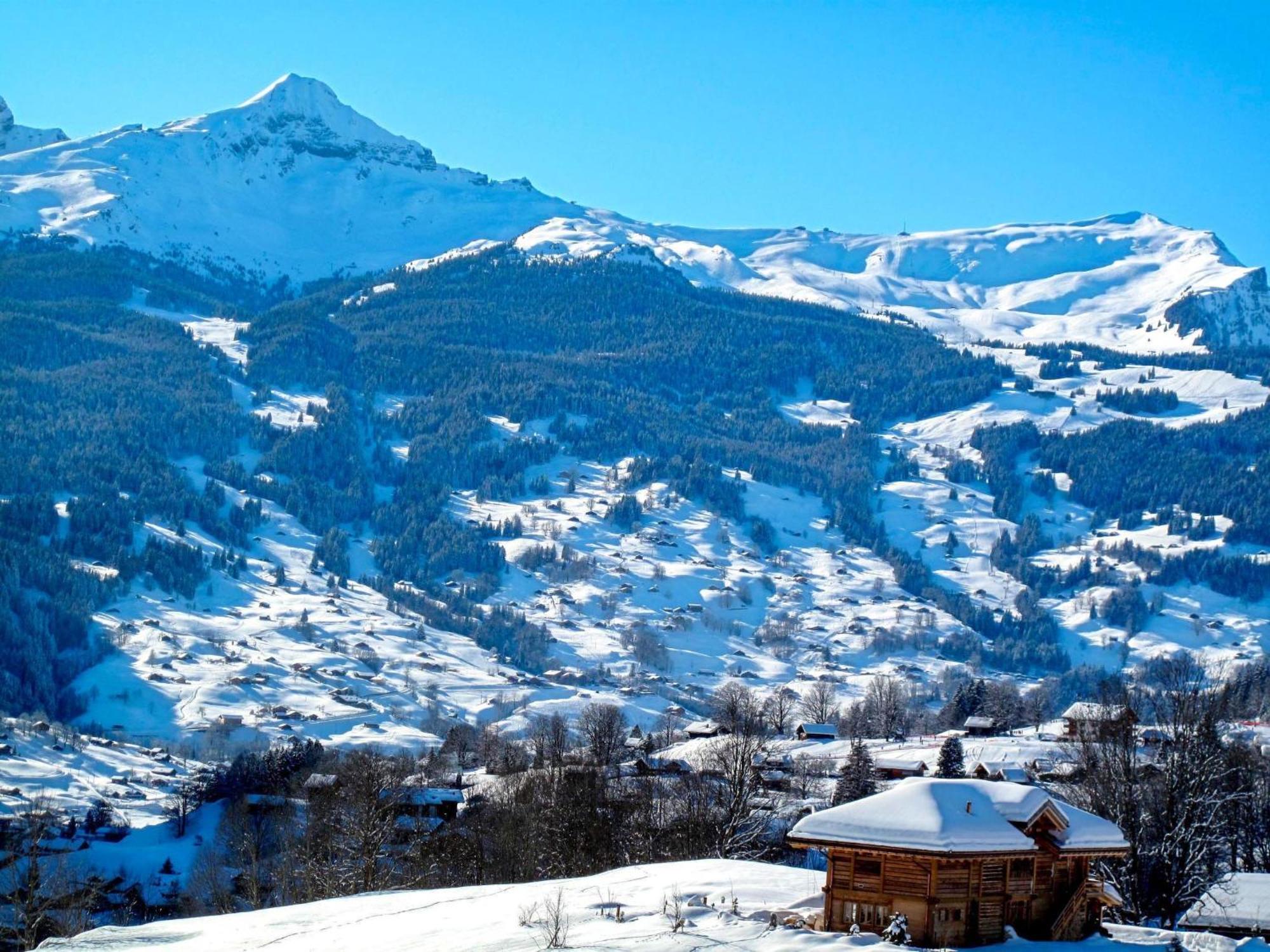 Apartment Chalet Almis-Bödeli-2 Grindelwald Dış mekan fotoğraf